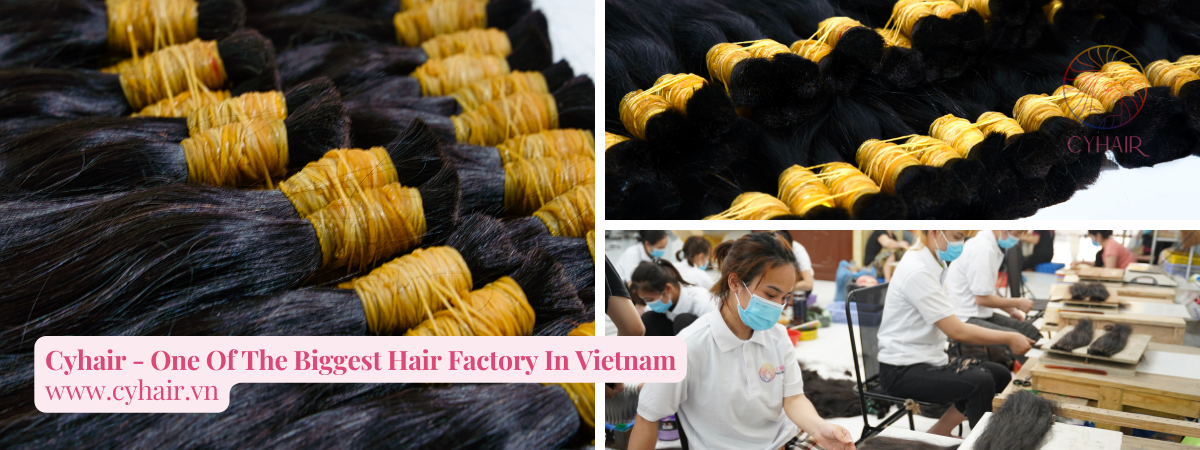 CYhair - Biggest Hair Factory in Vietnam