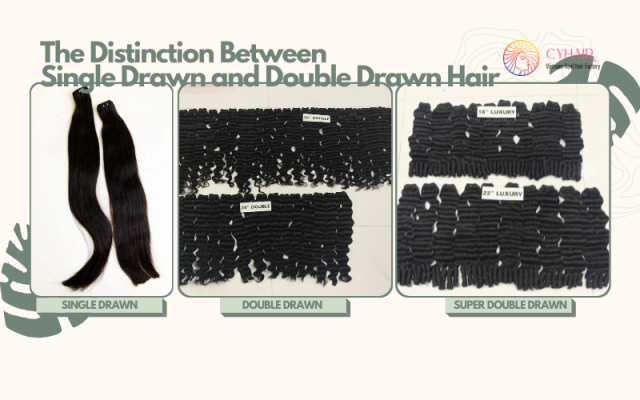 Vietnamese Hair Single and Double Drawn Hair