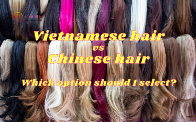 Chinese Hair vs Vietnamese Hair