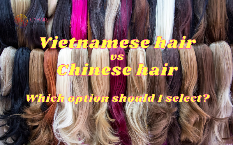 Vietnamese hair vs Chinese Hair