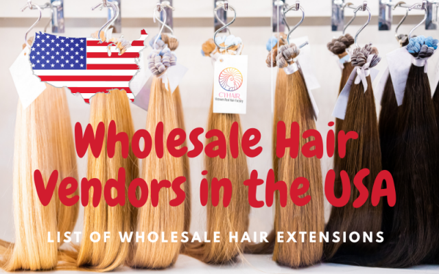 Wholesale Hair Vendors in the USA