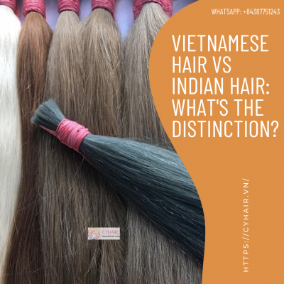 Vietnamese hair vs Indian hair What is the distinction