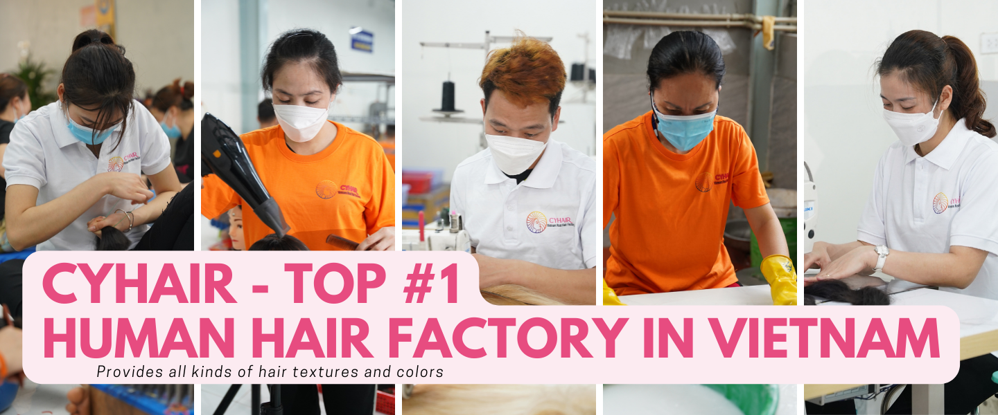 Vietnam Human Hair Factory