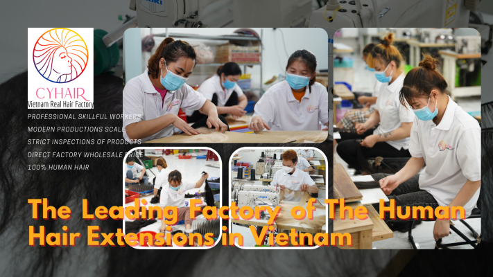 Vietnam virgin hair factory
