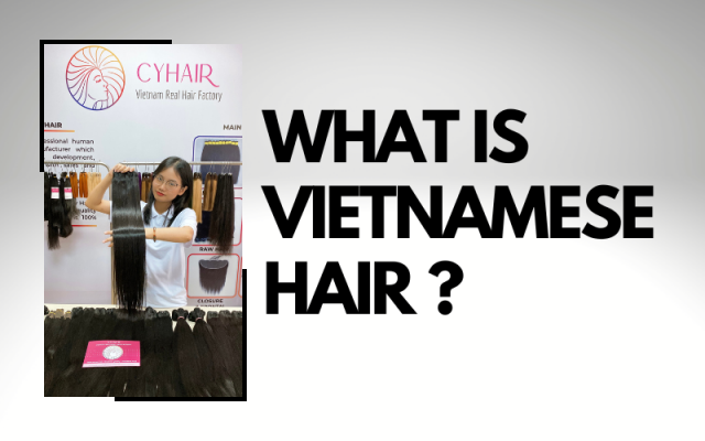 COVER -WHAT IS VIETNAMESE HAIR DIFFERENCES BETWEEN VIETNAMESE HAIR AND OTHER COUNTRIES HAIR