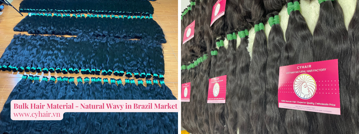 Bulk Hair Material - Natural Wavy in Brazil Market