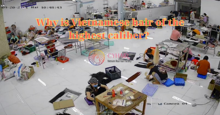 Why is Vietnamese hair of the highest caliber? 