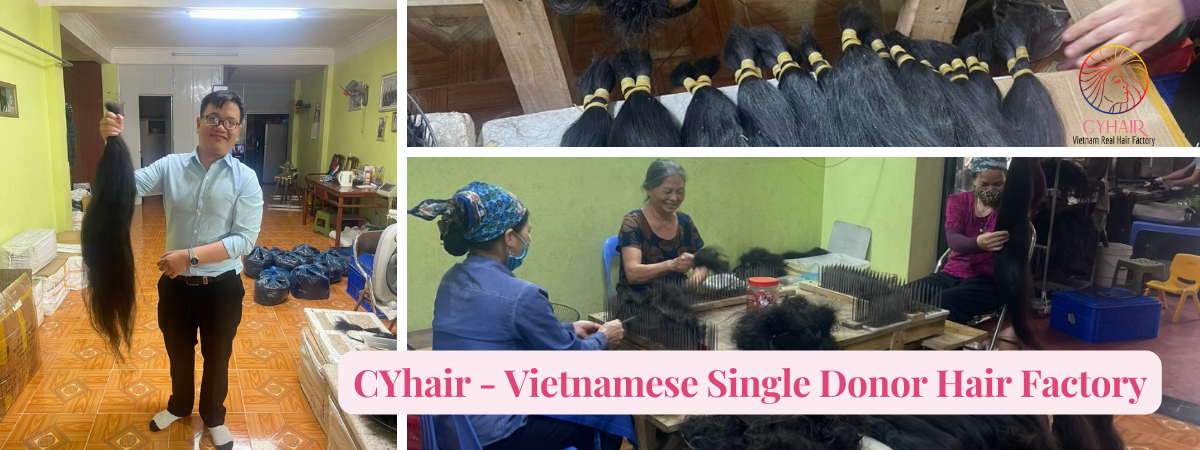 Vietnamese Single Donor Hair factory