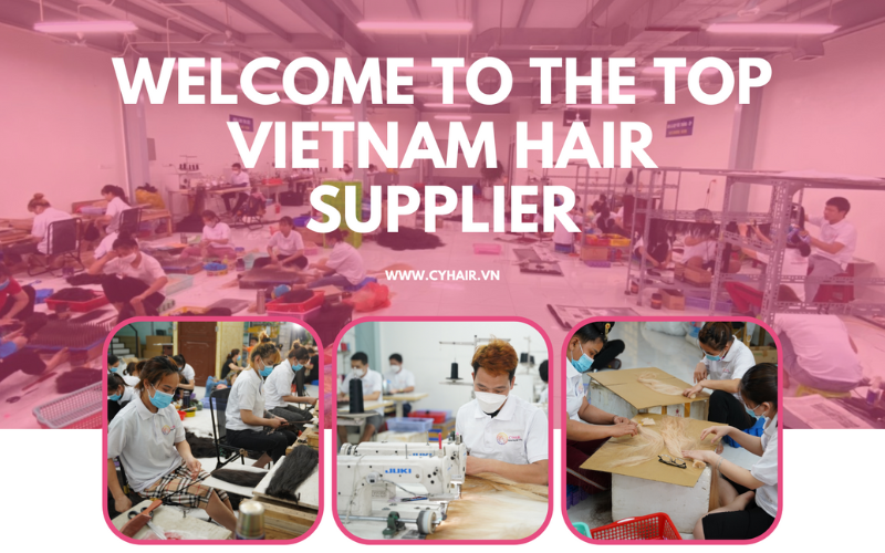 Where You Can Buy Vietnamese Hair?