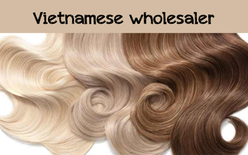 Vietnamese wholesaler of human hair wigs