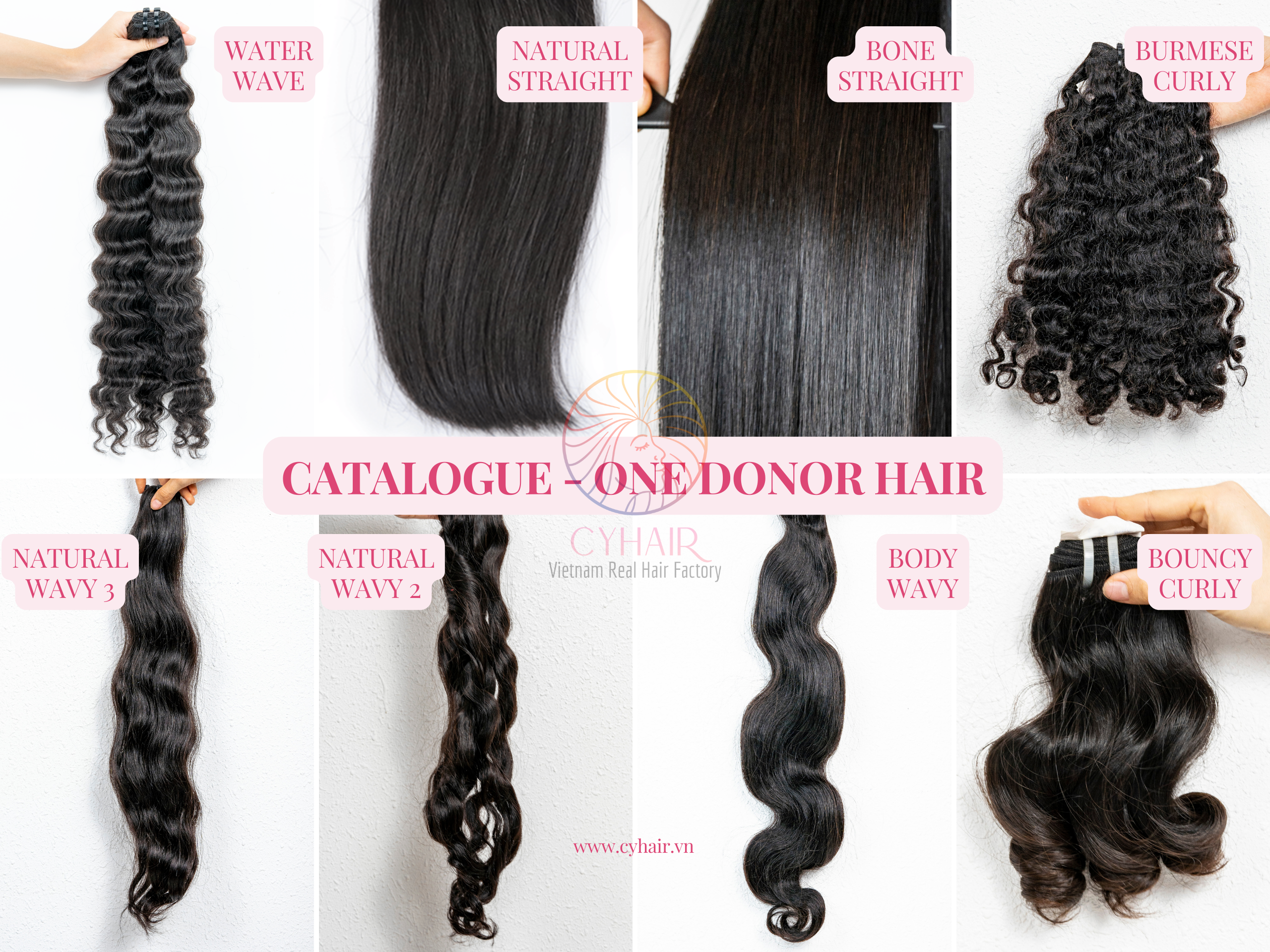 One Donor Hair Catalog
