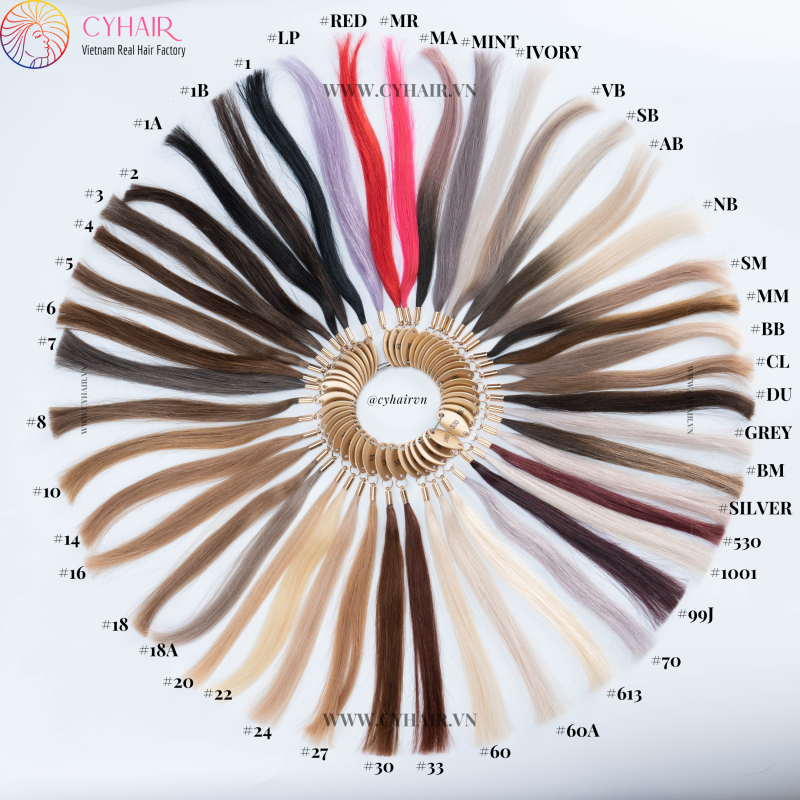 Color Chart 1 is suitable for all markets: Hair material is Raw Vietnamese Hair