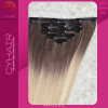 Seamless Clip-In Hair Extensions