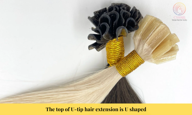 Flat Tip vs U Tip: Which is the Best Hair Extension Method?