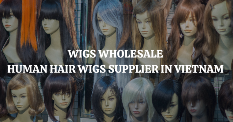Human Hair Wigs Supplier In Vietnam