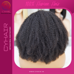 Kinky Curly Wigs