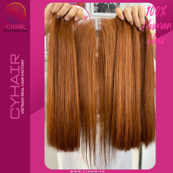 Raw Vietnamese Straight Hair