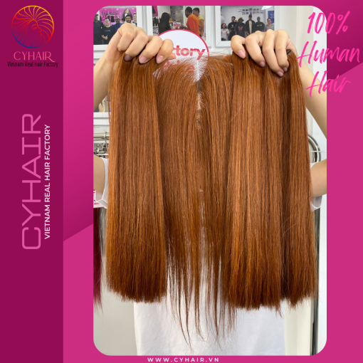 Raw Vietnamese Straight Hair