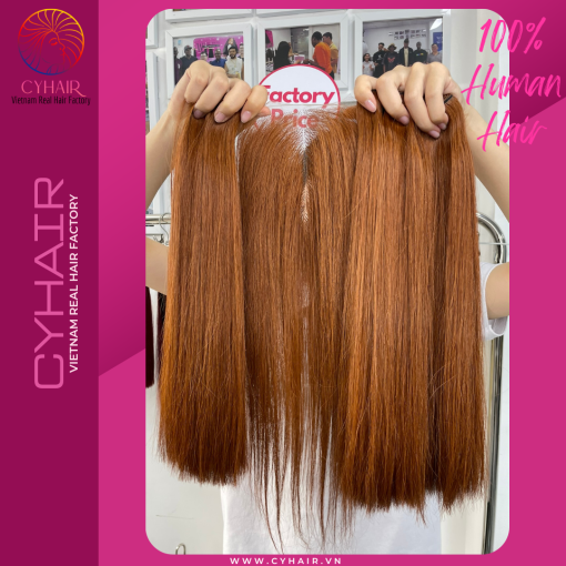 Raw Vietnamese Straight Hair