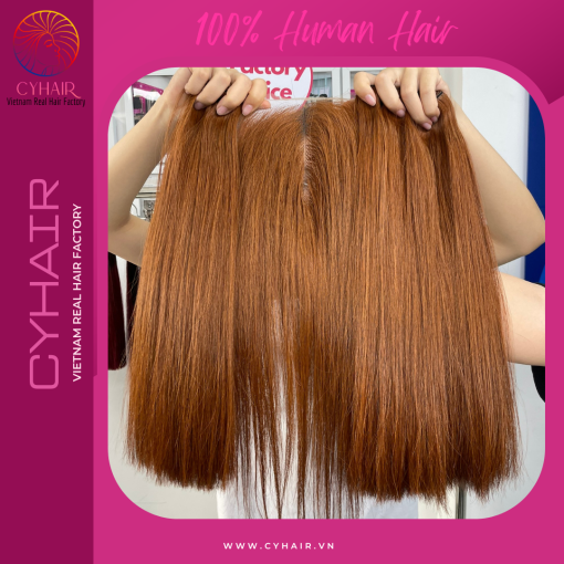 Raw Vietnamese Straight Hair