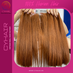 Raw Vietnamese Straight Hair