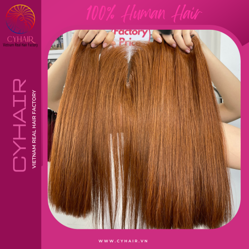 Raw Vietnamese Straight Hair