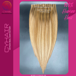 Seamless Clip In Hair Extensions