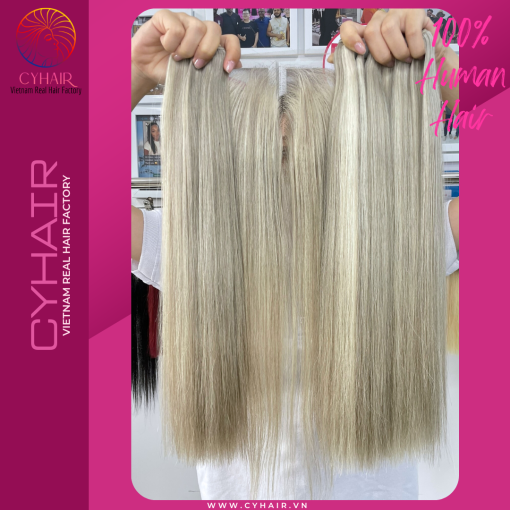 Straight Human Hair With Closure