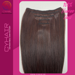 Real Human Hair Clips In Extensions