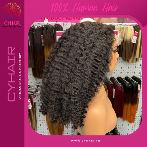 Kinky Curly Human Hair Wigs