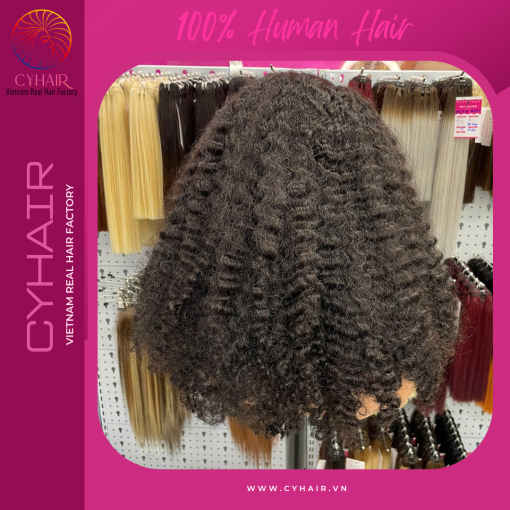 Kinky Curly Human Hair Wigs