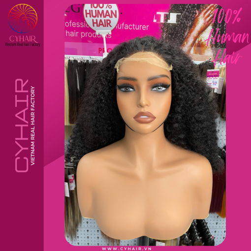 Kinky Curly Human Hair Wigs